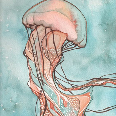 JellyfishX.jpg